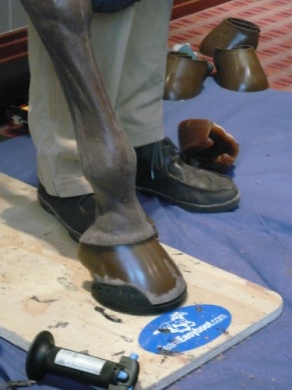 EasyShoe Performance-357