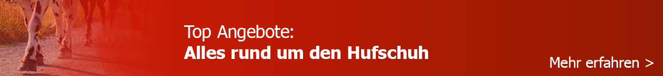 Fueße