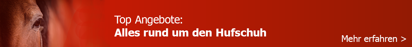 Pferd_Kopf Pferd_Kopf