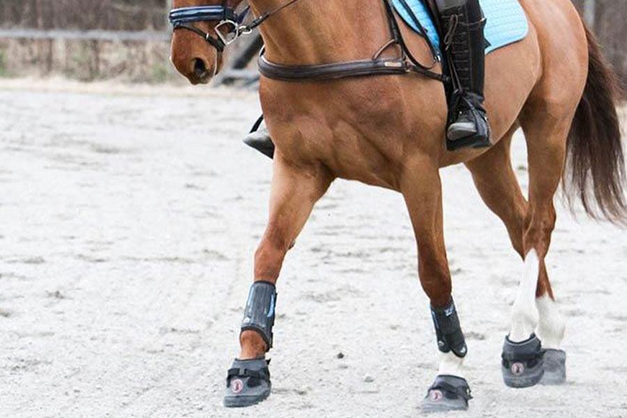 sand-reiten-hufschuhe-equine sand-reiten-hufschuhe-equine