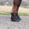 Equine Fusion Recovery – Bild 2